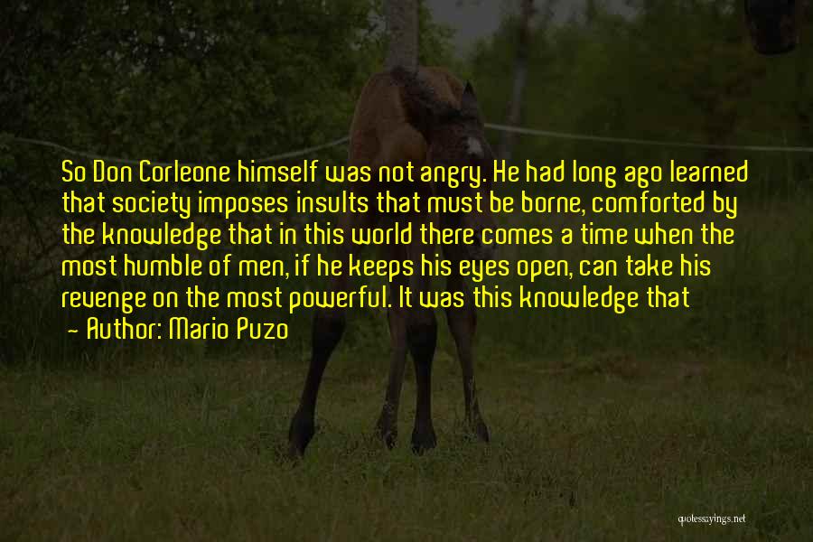 The Don Corleone Quotes By Mario Puzo