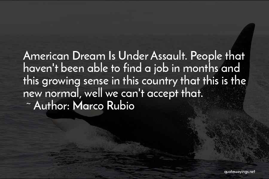 The Dream Job Quotes By Marco Rubio