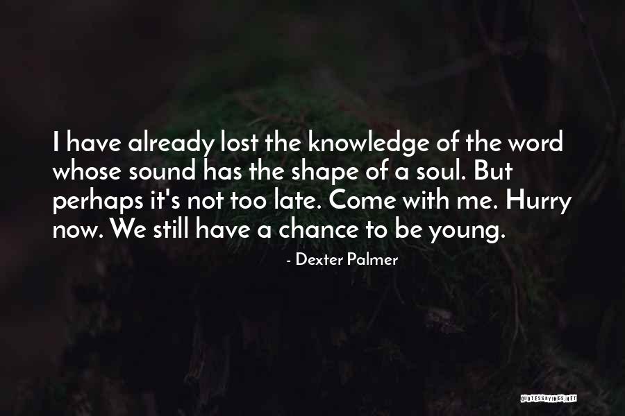 The Dream Of Perpetual Motion Quotes By Dexter Palmer The Dream Of Perpetual Motion Quotes By Dexter Palmer