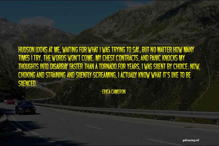 The Dream War Saga Quotes By Erica Cameron The Dream War Saga Quotes By Erica Cameron