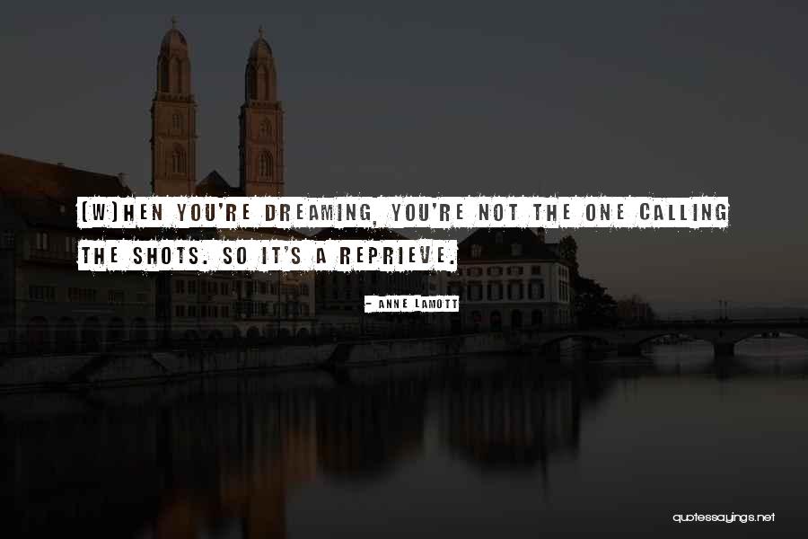 The Dreaming Quotes By Anne Lamott The Dreaming Quotes By Anne Lamott