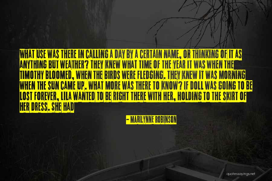 The Dress Quotes By Marilynne Robinson The Dress Quotes By Marilynne Robinson