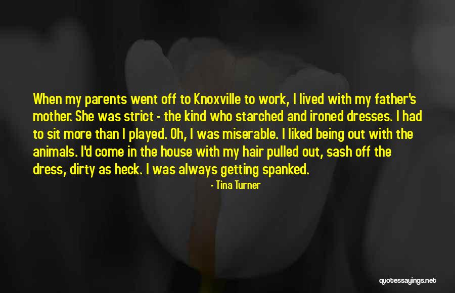 The Dress Quotes By Tina Turner The Dress Quotes By Tina Turner