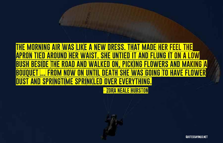 The Dress Quotes By Zora Neale Hurston The Dress Quotes By Zora Neale Hurston