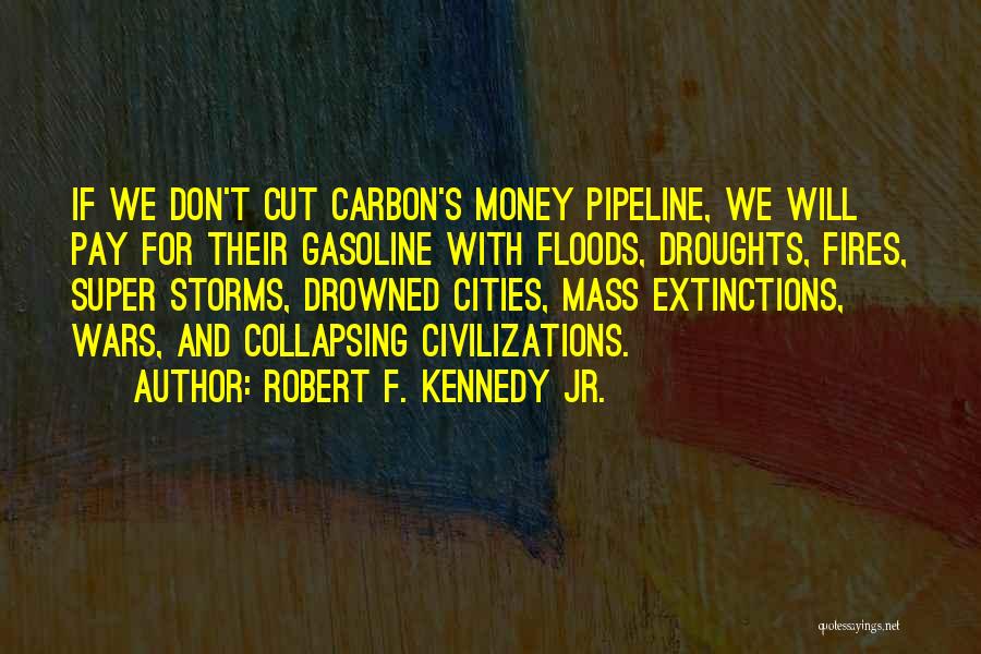 The Drowned Cities Quotes By Robert F. Kennedy Jr.