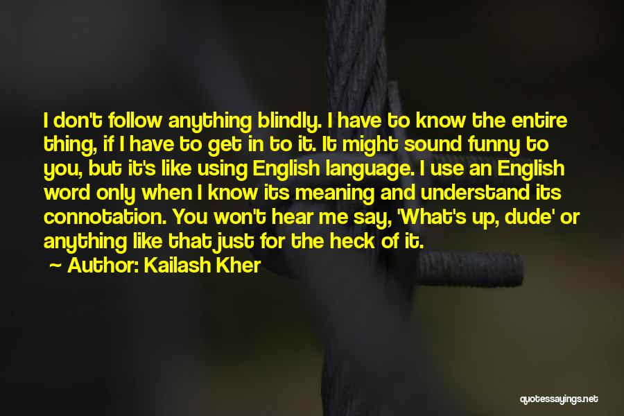 The Dude Funny Quotes By Kailash Kher