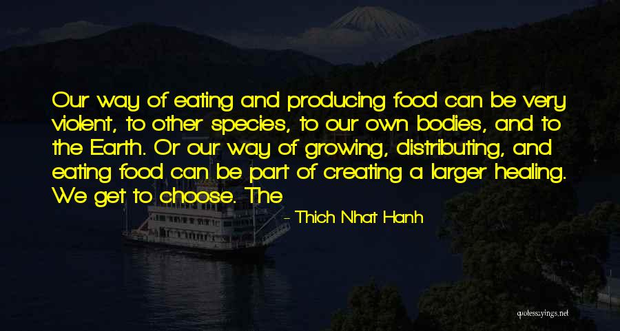 The Earth Healing Quotes By Thich Nhat Hanh The Earth Healing Quotes By Thich Nhat Hanh