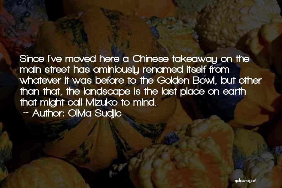 The Earth Moved Quotes By Olivia Sudjic