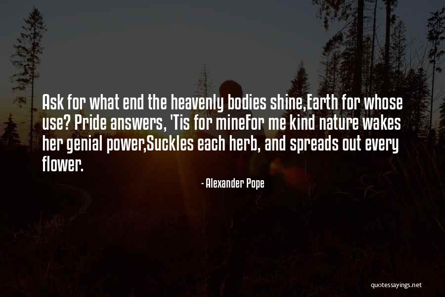 The Earth Quotes By Alexander Pope