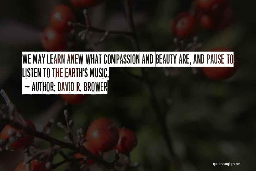 The Earth's Beauty Quotes By David R. Brower