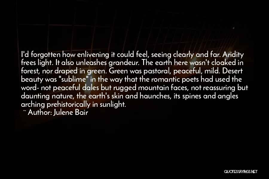 The Earth's Beauty Quotes By Julene Bair