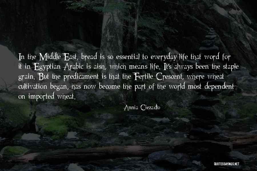 The Egyptian Quotes By Annia Ciezadlo The Egyptian Quotes By Annia Ciezadlo