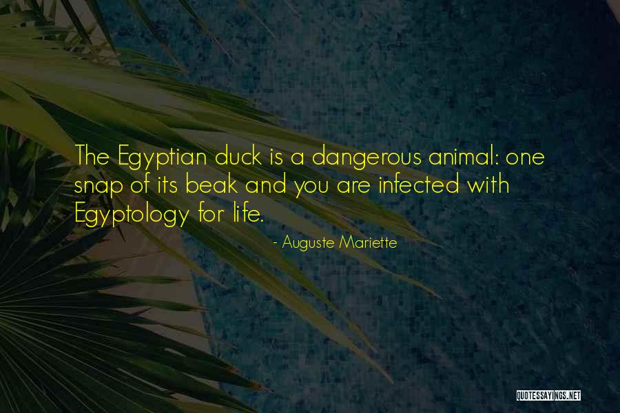 The Egyptian Quotes By Auguste Mariette The Egyptian Quotes By Auguste Mariette