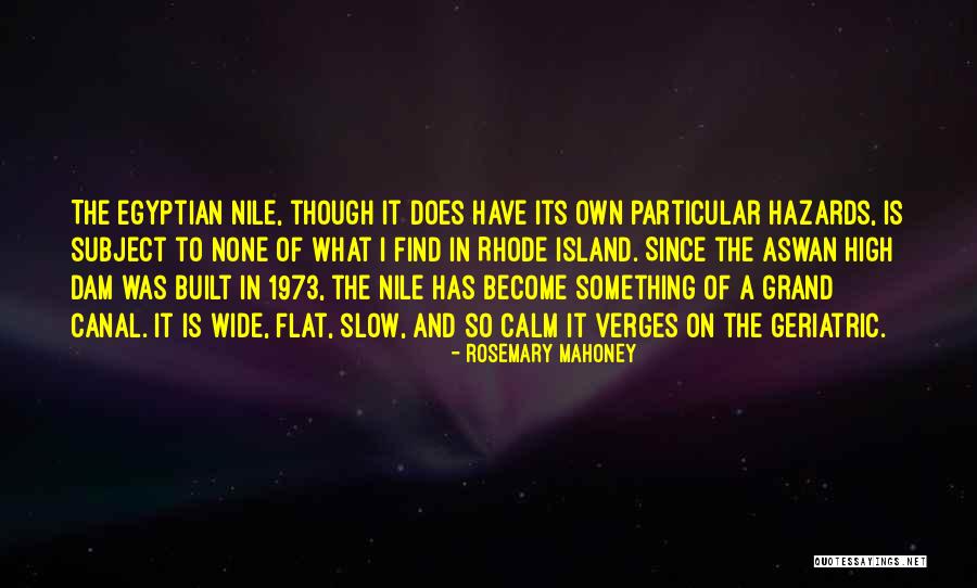 The Egyptian Quotes By Rosemary Mahoney The Egyptian Quotes By Rosemary Mahoney