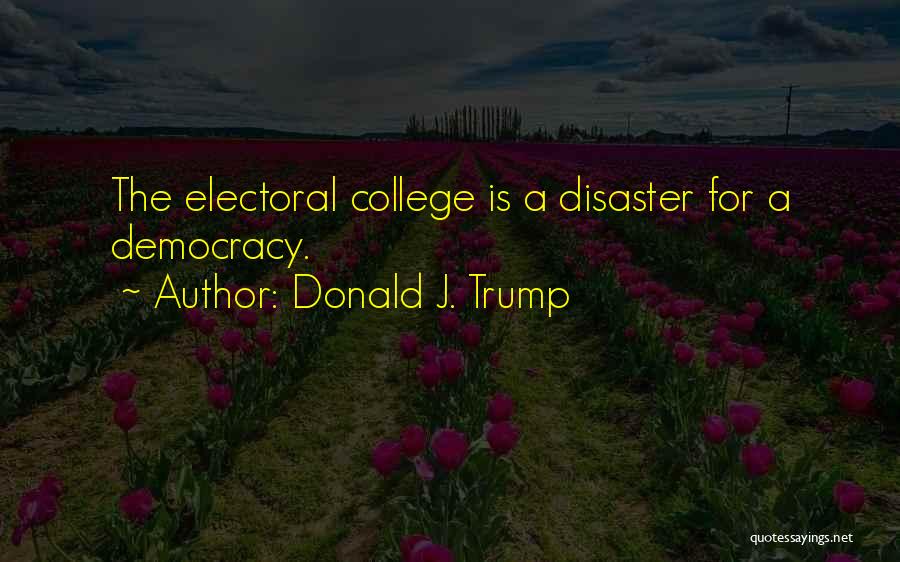 The Electoral College System Quotes By Donald J. Trump