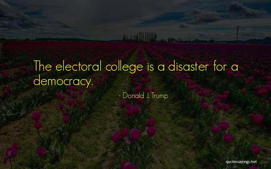 The Electoral College System Quotes By Donald J. Trump