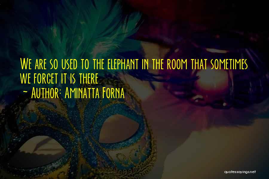 The Elephant In The Room Quotes By Aminatta Forna