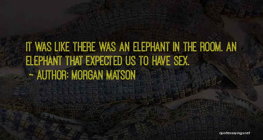 The Elephant In The Room Quotes By Morgan Matson