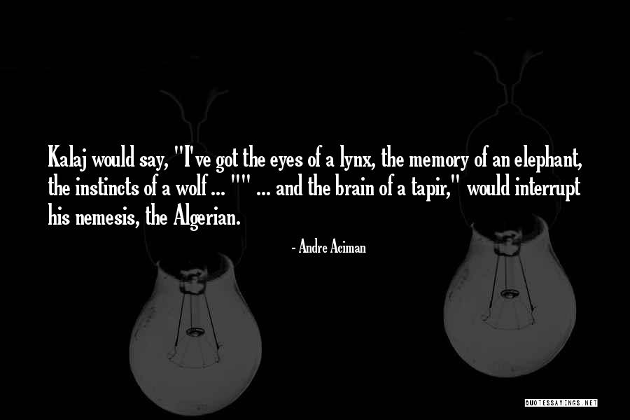 The Elephant Man Quotes By Andre Aciman