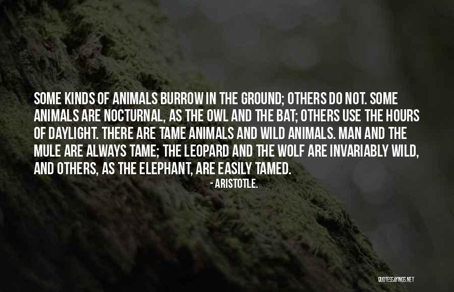 The Elephant Man Quotes By Aristotle.