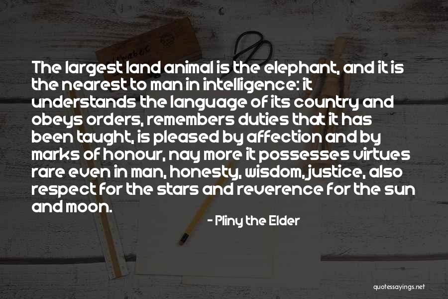 The Elephant Man Quotes By Pliny The Elder