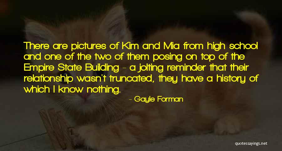 The Empire State Building Quotes By Gayle Forman The Empire State Building Quotes By Gayle Forman