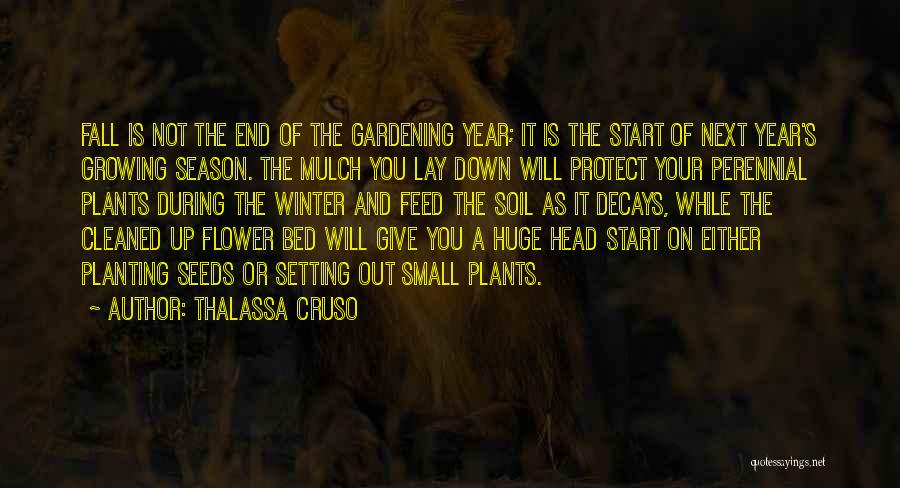 The End Of Fall Quotes By Thalassa Cruso