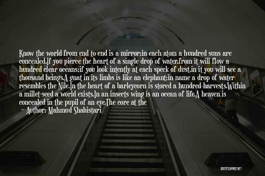 The End Of Life Quotes By Mahmud Shabistari