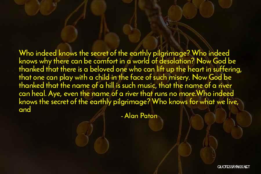 The End Of Struggling Quotes By Alan Paton