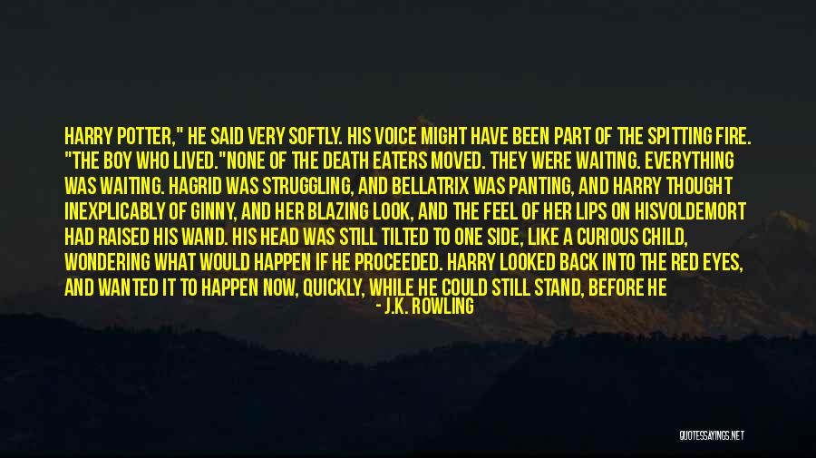The End Of Struggling Quotes By J.K. Rowling