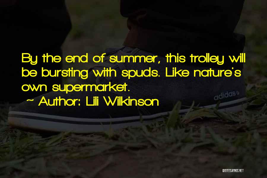 The End Of Summer Quotes By Lili Wilkinson