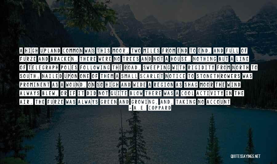 The End Of The Summer Quotes By A.E. Coppard The End Of The Summer Quotes By A.E. Coppard