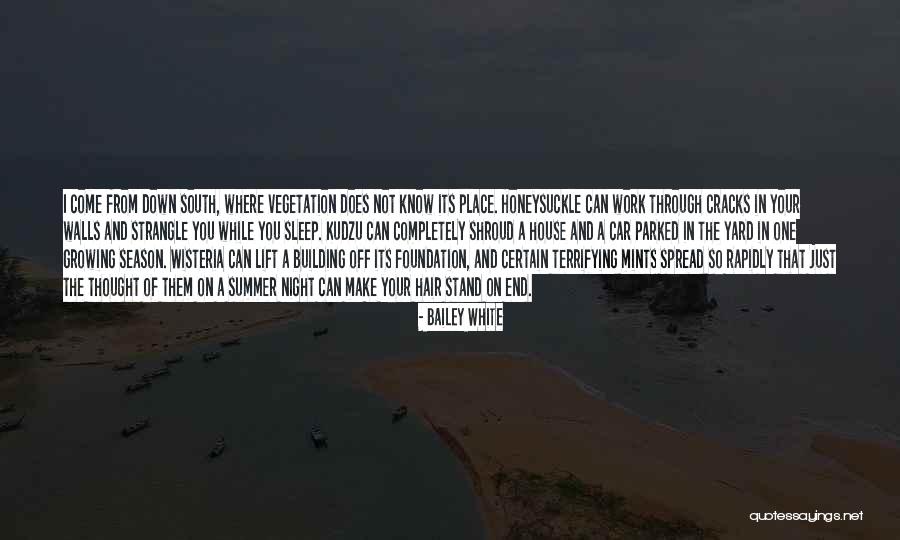 The End Of The Summer Quotes By Bailey White The End Of The Summer Quotes By Bailey White