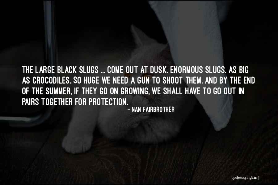 The End Of The Summer Quotes By Nan Fairbrother