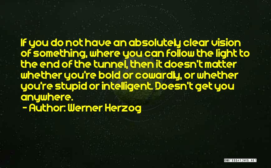 The End Of The Tunnel Quotes By Werner Herzog