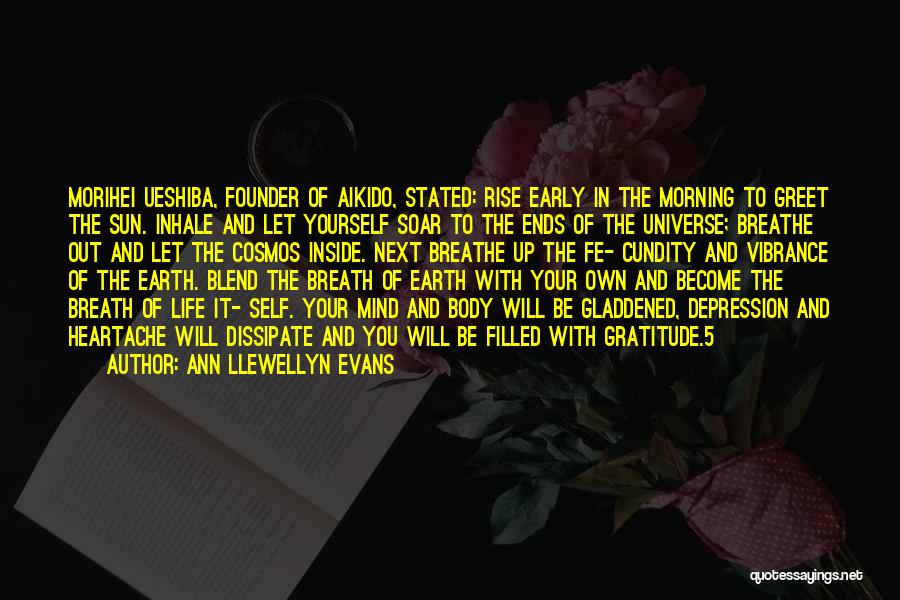 The Ends Of The Earth Quotes By Ann Llewellyn Evans
