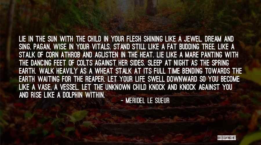 The Energy Scavengers Quotes By Meridel Le Sueur The Energy Scavengers Quotes By Meridel Le Sueur