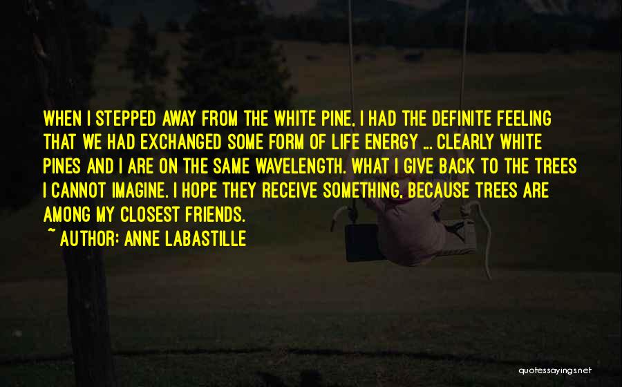 The Energy You Give Off Quotes By Anne LaBastille