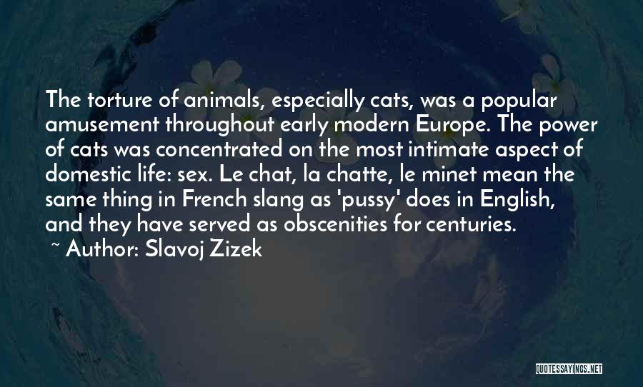 The English And The French Quotes By Slavoj Zizek