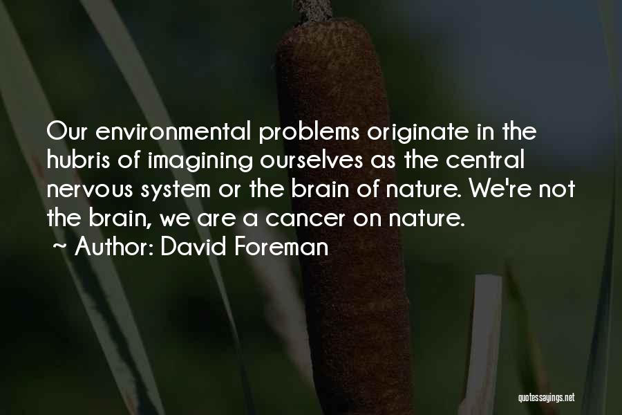 The Environmental Problems Quotes By David Foreman