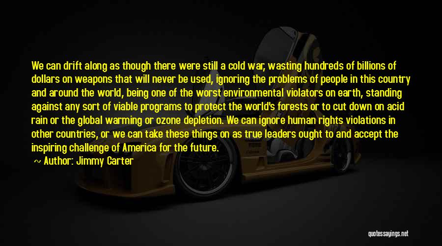 The Environmental Problems Quotes By Jimmy Carter