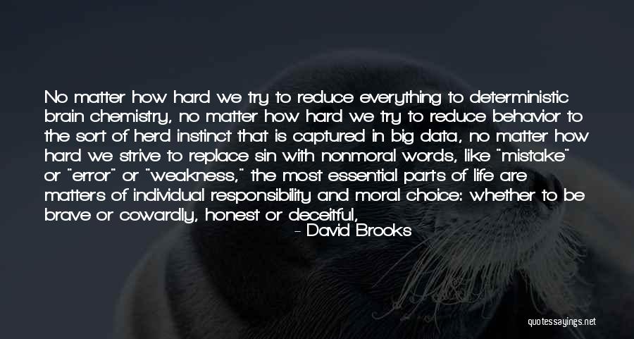 The Error Of Sin Quotes By David Brooks The Error Of Sin Quotes By David Brooks