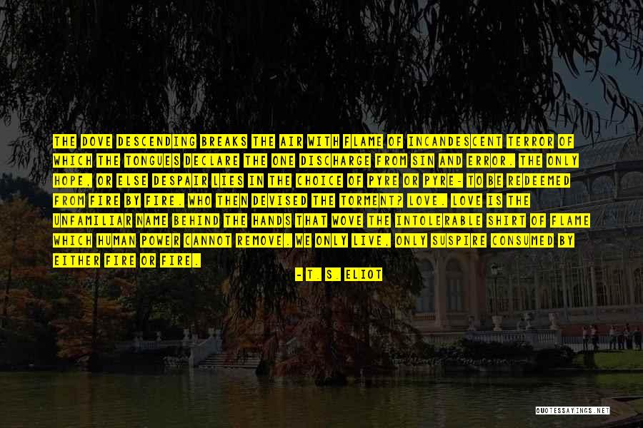 The Error Of Sin Quotes By T. S. Eliot The Error Of Sin Quotes By T. S. Eliot