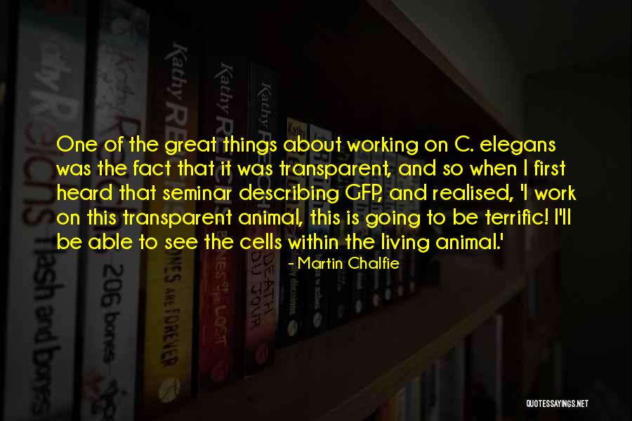 The Evils Of Gossip Quotes By Martin Chalfie The Evils Of Gossip Quotes By Martin Chalfie