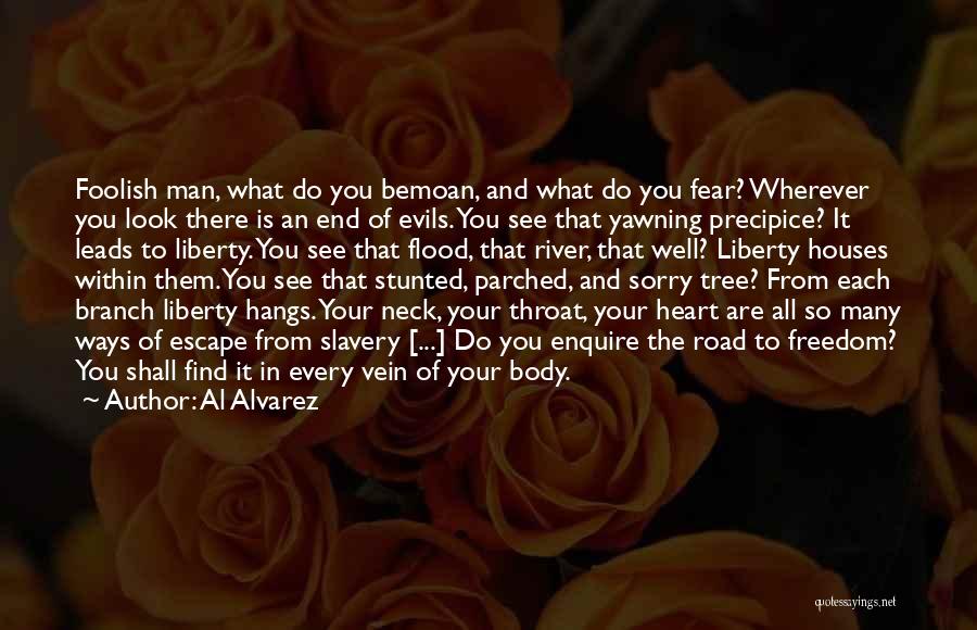 The Evils Of Slavery Quotes By Al Alvarez