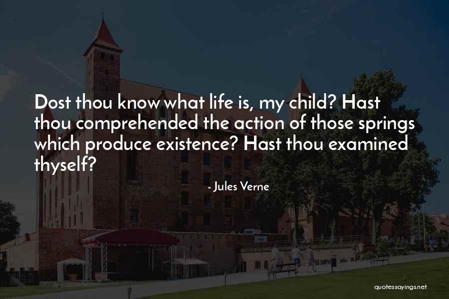 The Examined Life Quotes By Jules Verne The Examined Life Quotes By Jules Verne