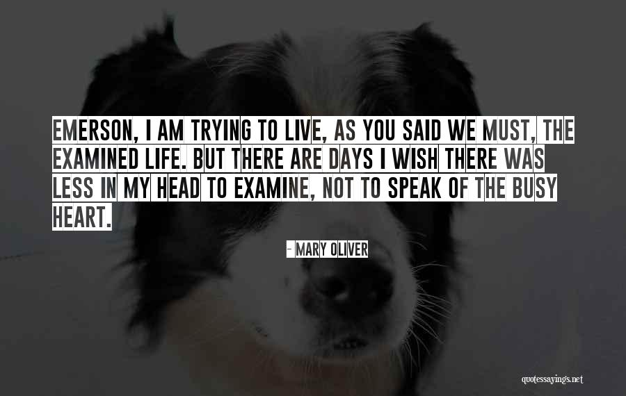 The Examined Life Quotes By Mary Oliver The Examined Life Quotes By Mary Oliver