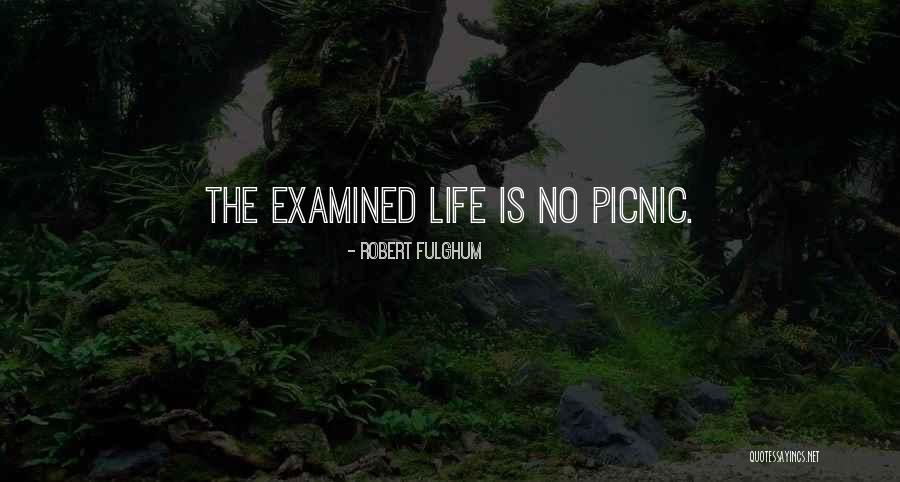 The Examined Life Quotes By Robert Fulghum The Examined Life Quotes By Robert Fulghum