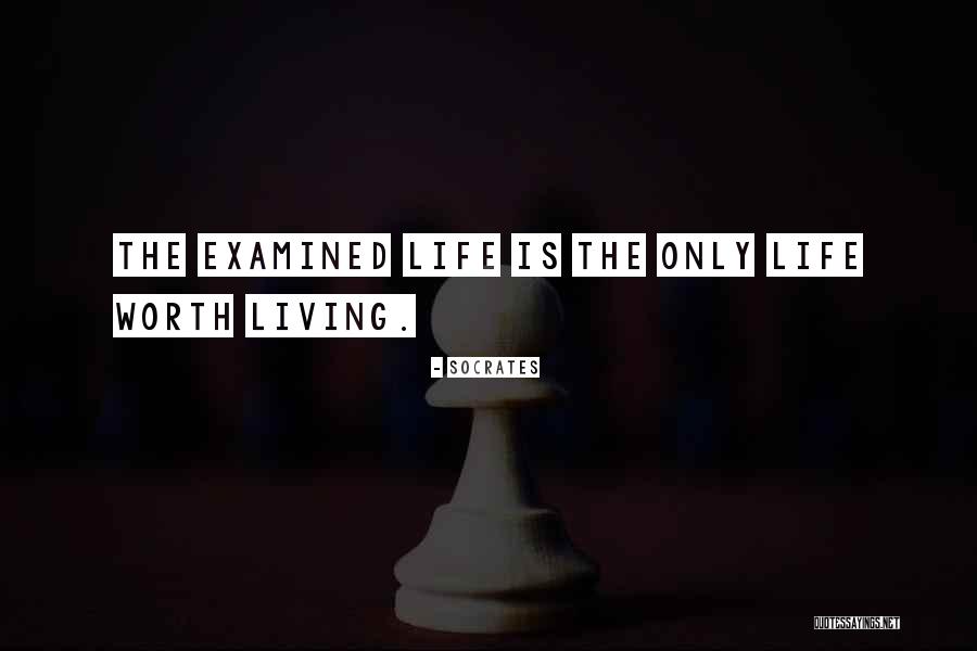 The Examined Life Quotes By Socrates The Examined Life Quotes By Socrates