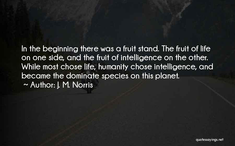 The Existence Of Humanity Quotes By J. M. Norris